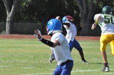 Enlarge photo 307