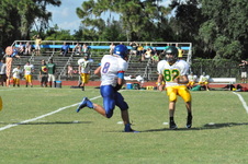 Enlarge photo 312