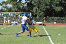 Enlarge photo 313