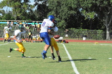 Enlarge photo 314