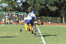 Enlarge photo 315