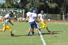 Enlarge photo 316