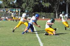 Enlarge photo 317