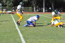 Enlarge photo 318