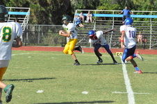 Enlarge photo 328