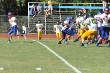Enlarge photo 331