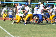 Enlarge photo 333