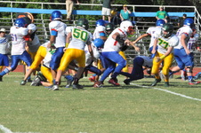 Enlarge photo 334