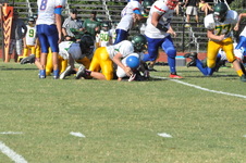 Enlarge photo 335