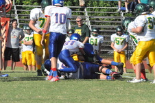 Enlarge photo 337