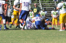 Enlarge photo 338