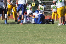 Enlarge photo 339