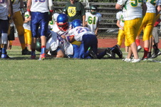 Enlarge photo 340
