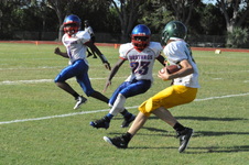 Enlarge photo 341