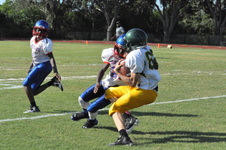 Enlarge photo 342