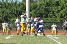 Enlarge photo 352