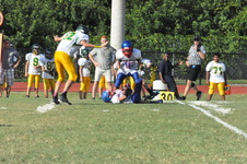 Enlarge photo 355