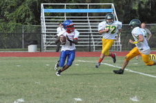 Enlarge photo 363