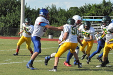 Enlarge photo 375