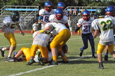Enlarge photo 379