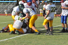 Enlarge photo 380
