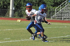 Enlarge photo 383