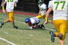 Enlarge photo 388