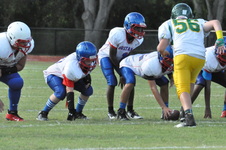 Enlarge photo 391