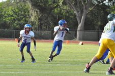 Enlarge photo 396