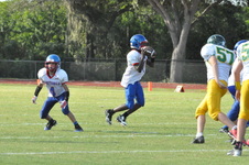 Enlarge photo 397