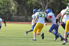Enlarge photo 398