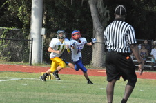 Enlarge photo 399
