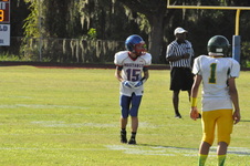 Enlarge photo 411