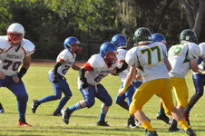 Enlarge photo 413