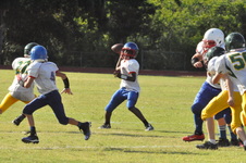 Enlarge photo 415