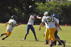 Enlarge photo 416