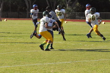 Enlarge photo 417