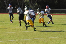 Enlarge photo 418