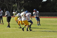Enlarge photo 419