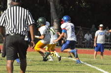 Enlarge photo 422