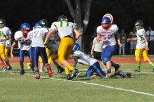 Enlarge photo 426