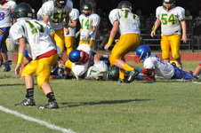Enlarge photo 428