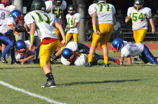Enlarge photo 429
