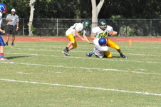 Enlarge photo 431