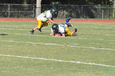 Enlarge photo 432