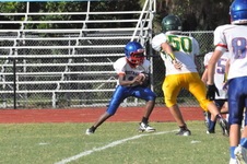 Enlarge photo 442