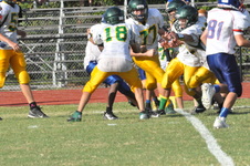 Enlarge photo 445