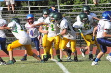 Enlarge photo 446