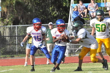 Enlarge photo 447