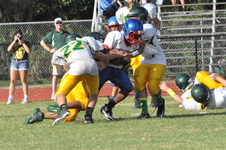 Enlarge photo 448